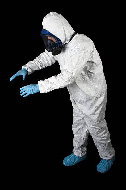 Best Black Mold Removal  in Rehoboth Beach, DE